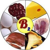 B2 B2 ვიტამინები ტვინისთვის