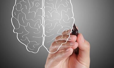 მეხსიერების დაკარგვის მიზეზები